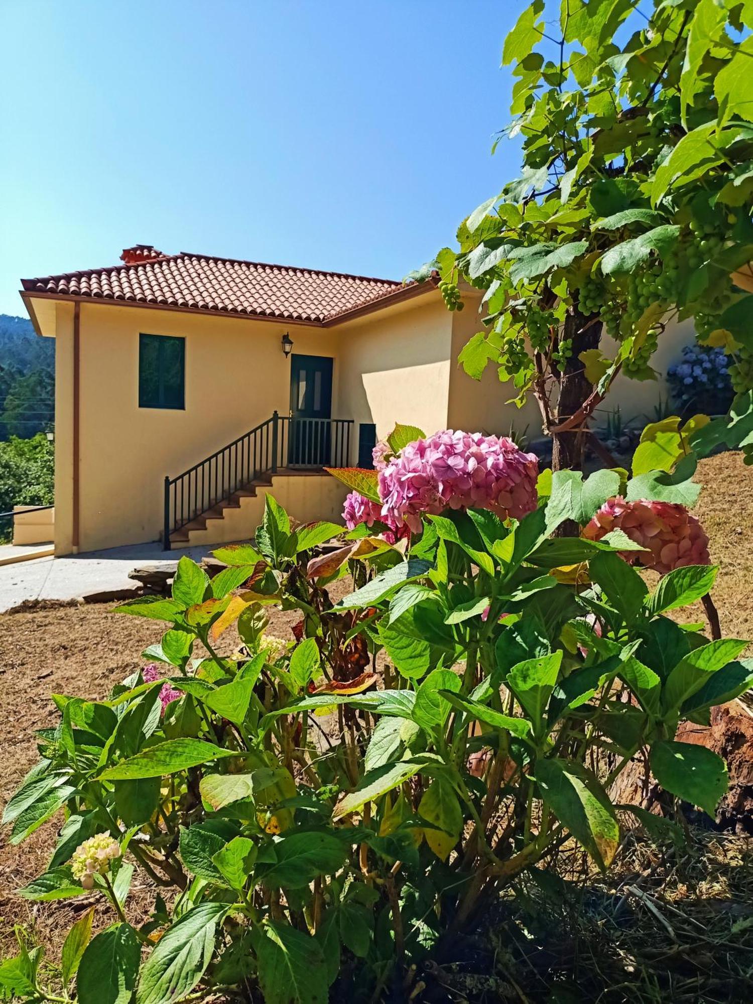 Villa A Casa Do Porto Cerca De Cedeira Y De La Playa De Pantin Valdoviño Exterior foto